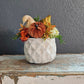 Fall Sit Around With Gourd