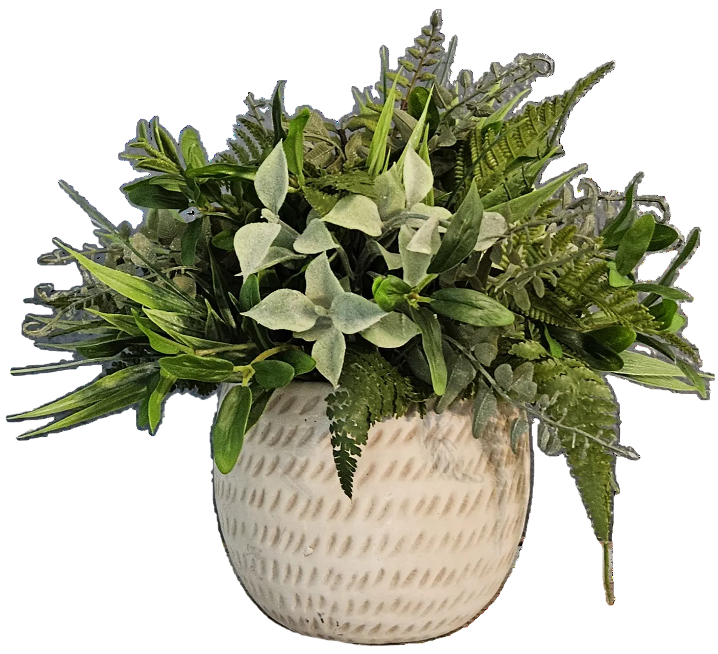 Greenery in Cement Container