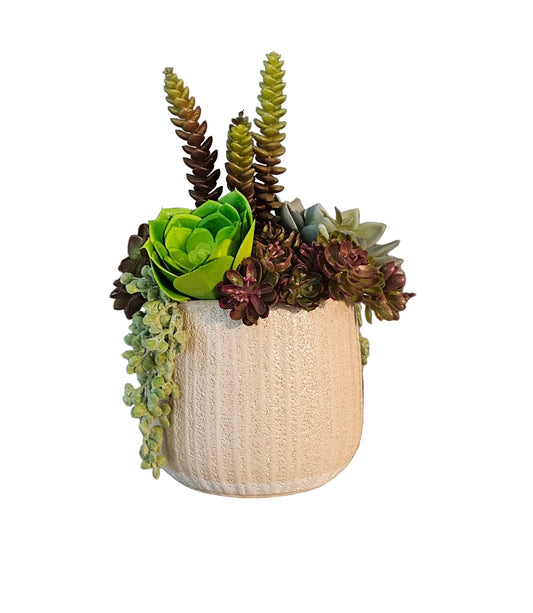 9" Tall Succulent Arrangement