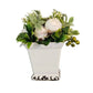 Small potted plant with white flowers and green leaves on a white background