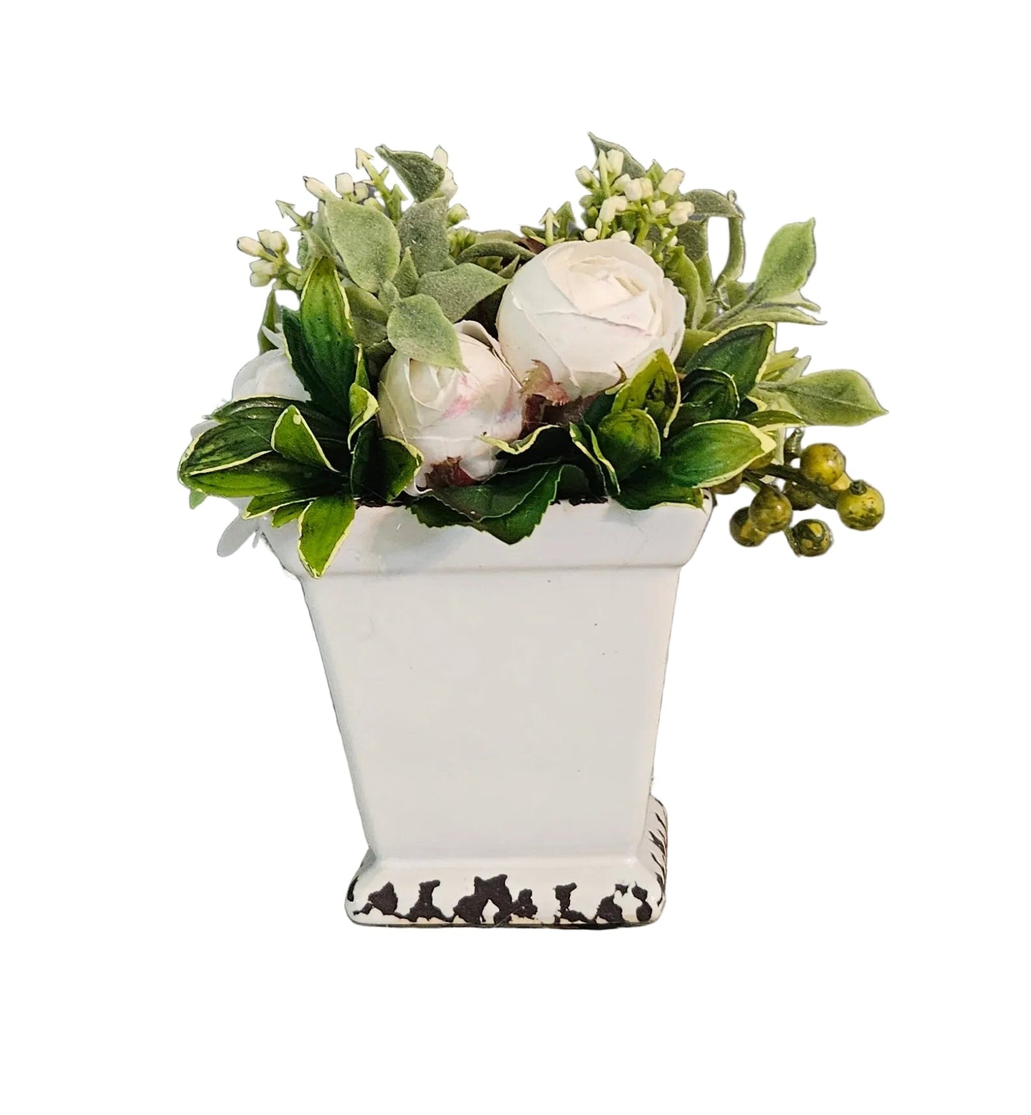 Small potted plant with white flowers and green leaves on a white background