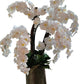 White orchid plant in a decorative pot on a windowsill with a beige wall and tiled floor.