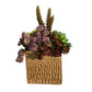 Succulent Arrangement in Square Container