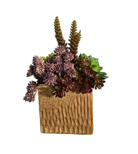 Succulent Arrangement in Square Container