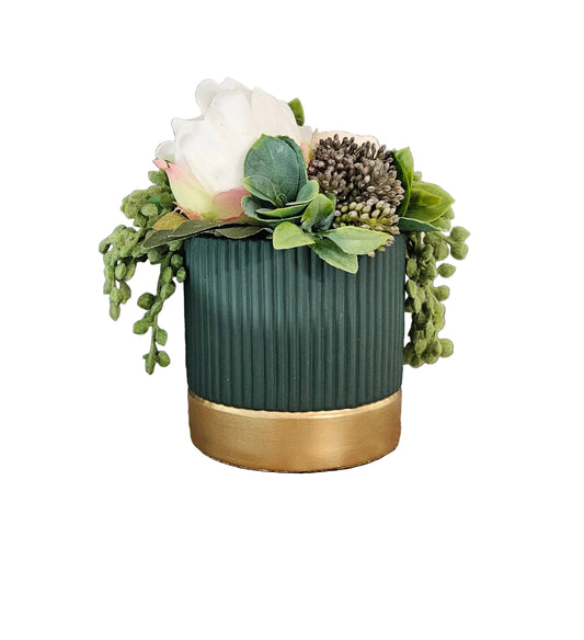 Sit Around in Green/Gold Container