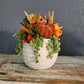 Fall Sit Around With Orange Berries