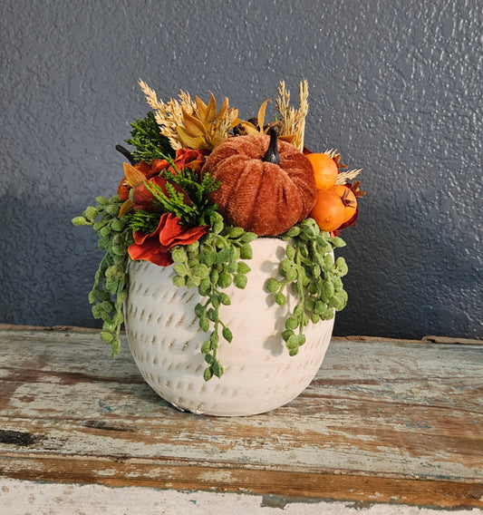 Fall Sit Around With Orange Berries