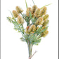 Thistle Bundle