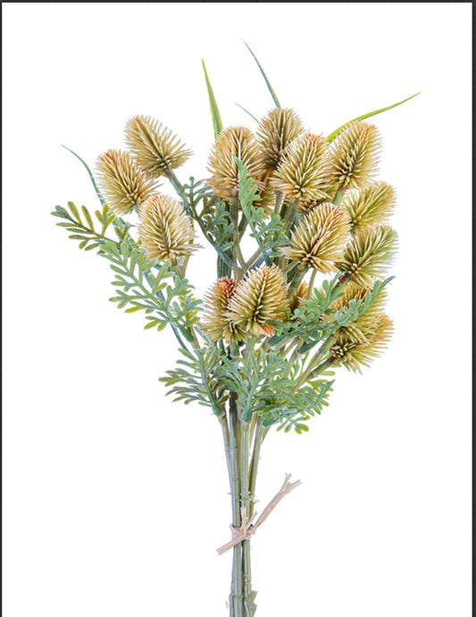 Thistle Bundle