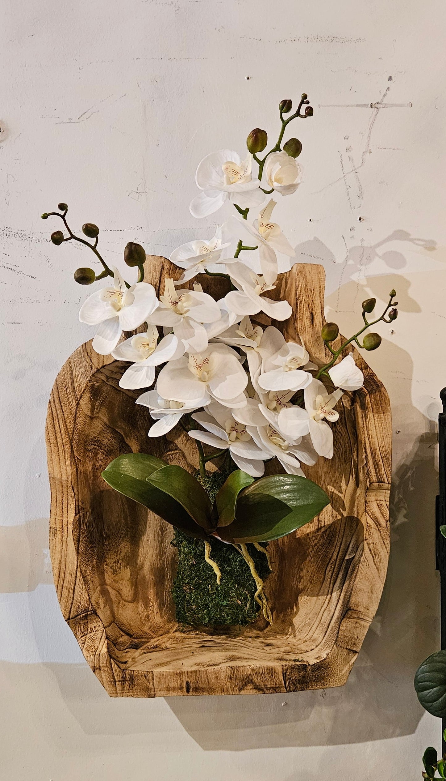 Orchid In Wood Hanging Container