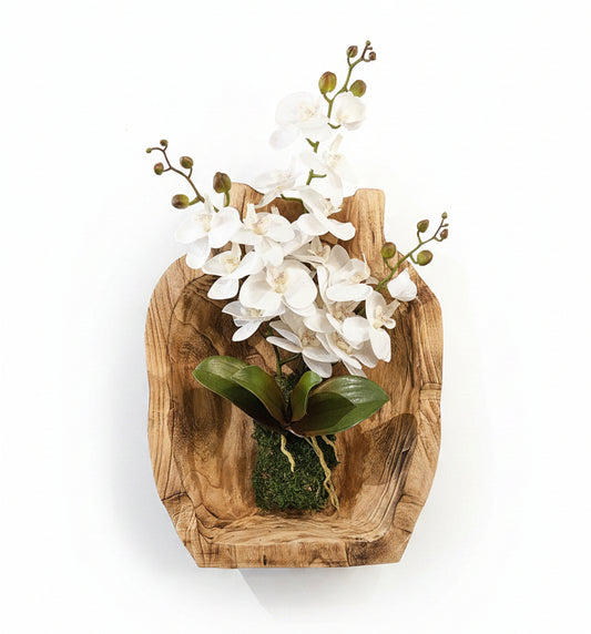 Orchid in Wood Hanging Container