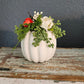 Small Cream Pumpkin Arrangement With Ranunculus