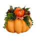 5" Orange Pumpkin Arrangement