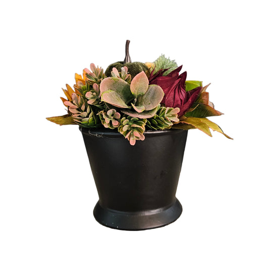 Fall Sit Around In Black Container