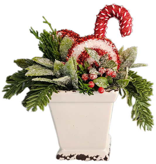 Peppermint Sit Around