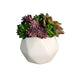 Small white vase with green and purple succulents on a wooden surface with a gray wall background