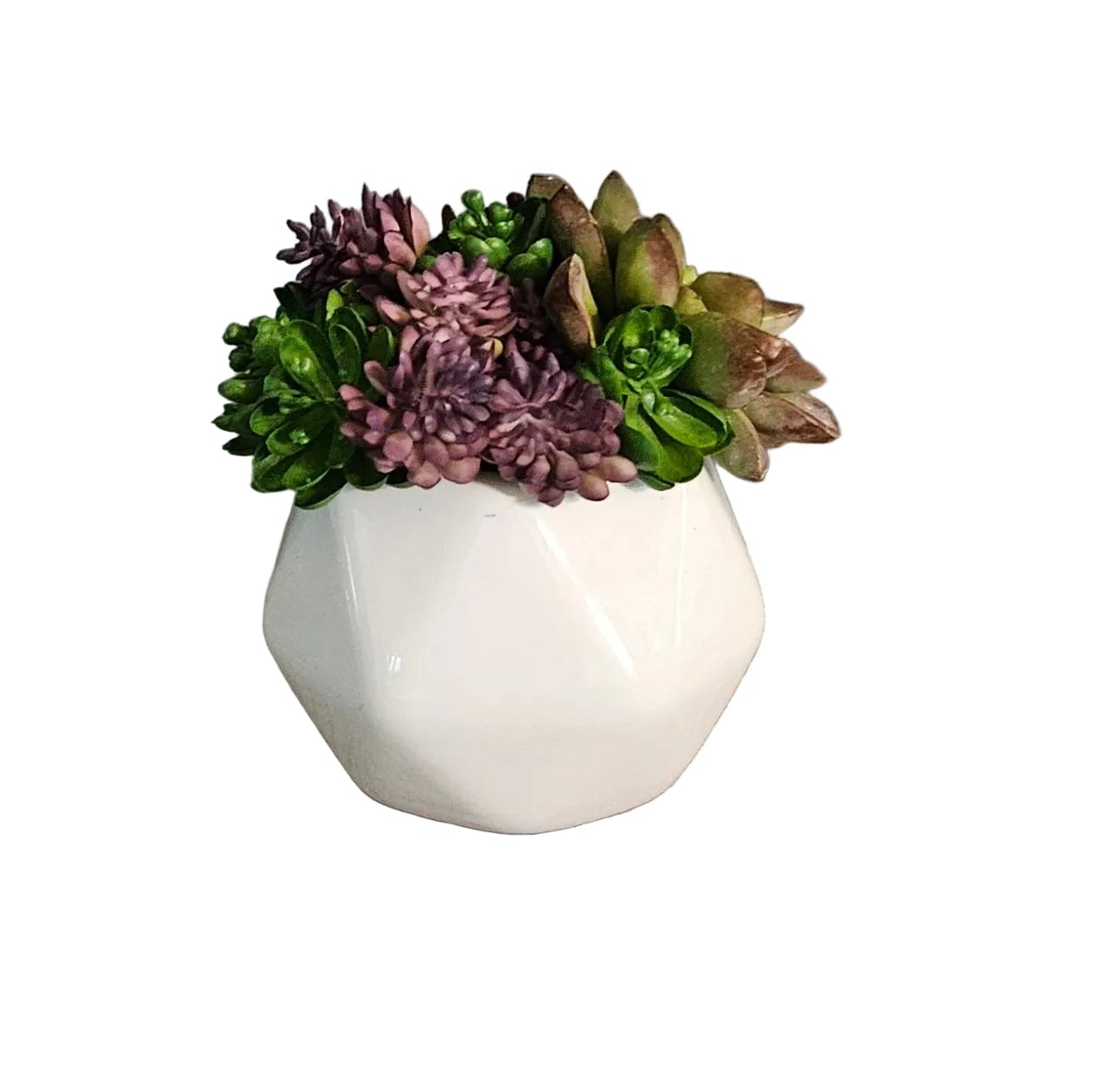 Small white vase with green and purple succulents on a wooden surface with a gray wall background