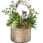 Decorative plant arrangement in a rustic pot on a white background.