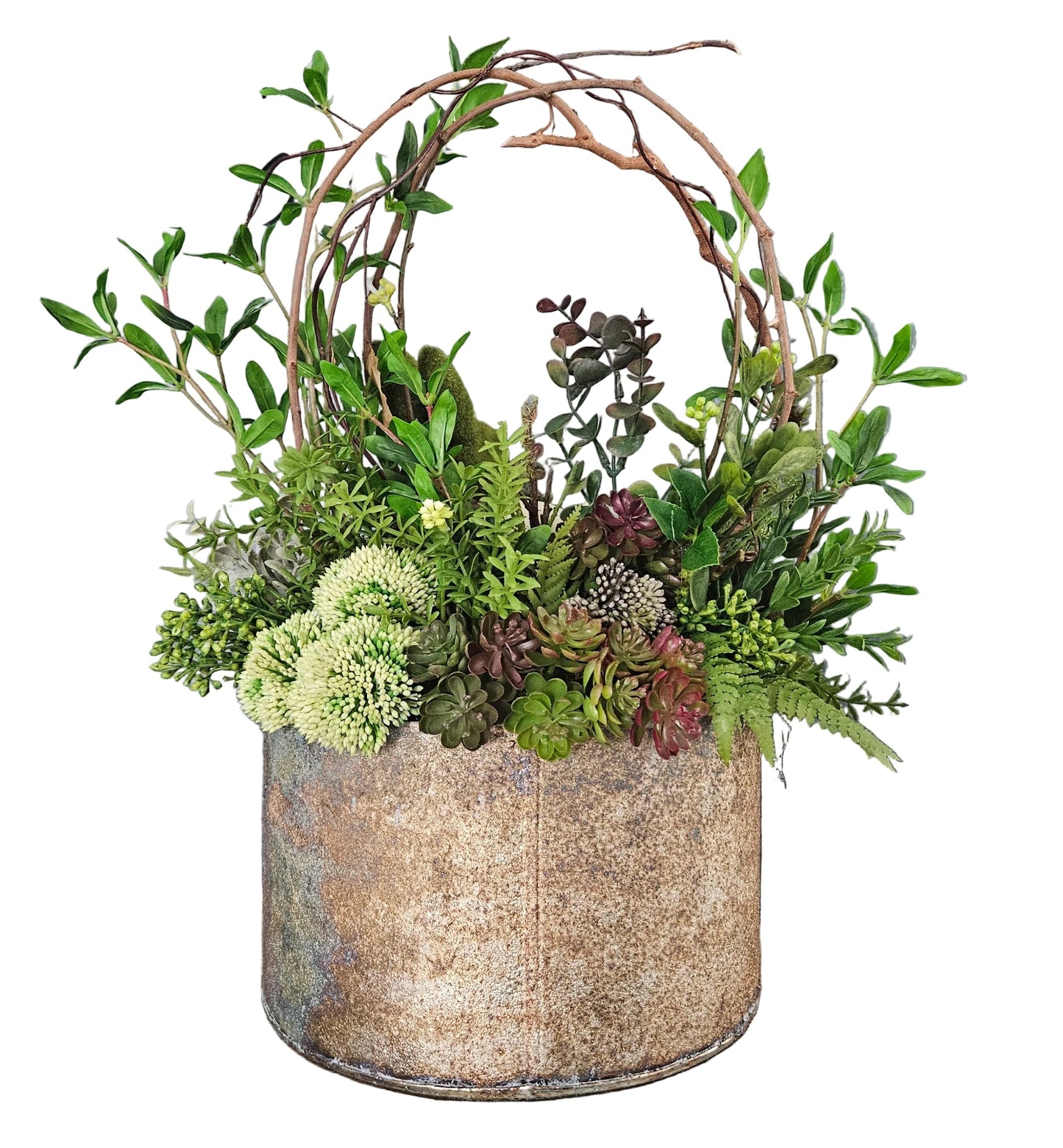 Decorative plant arrangement in a rustic pot on a white background.