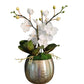 3 Blooms Orchid Arrangement
