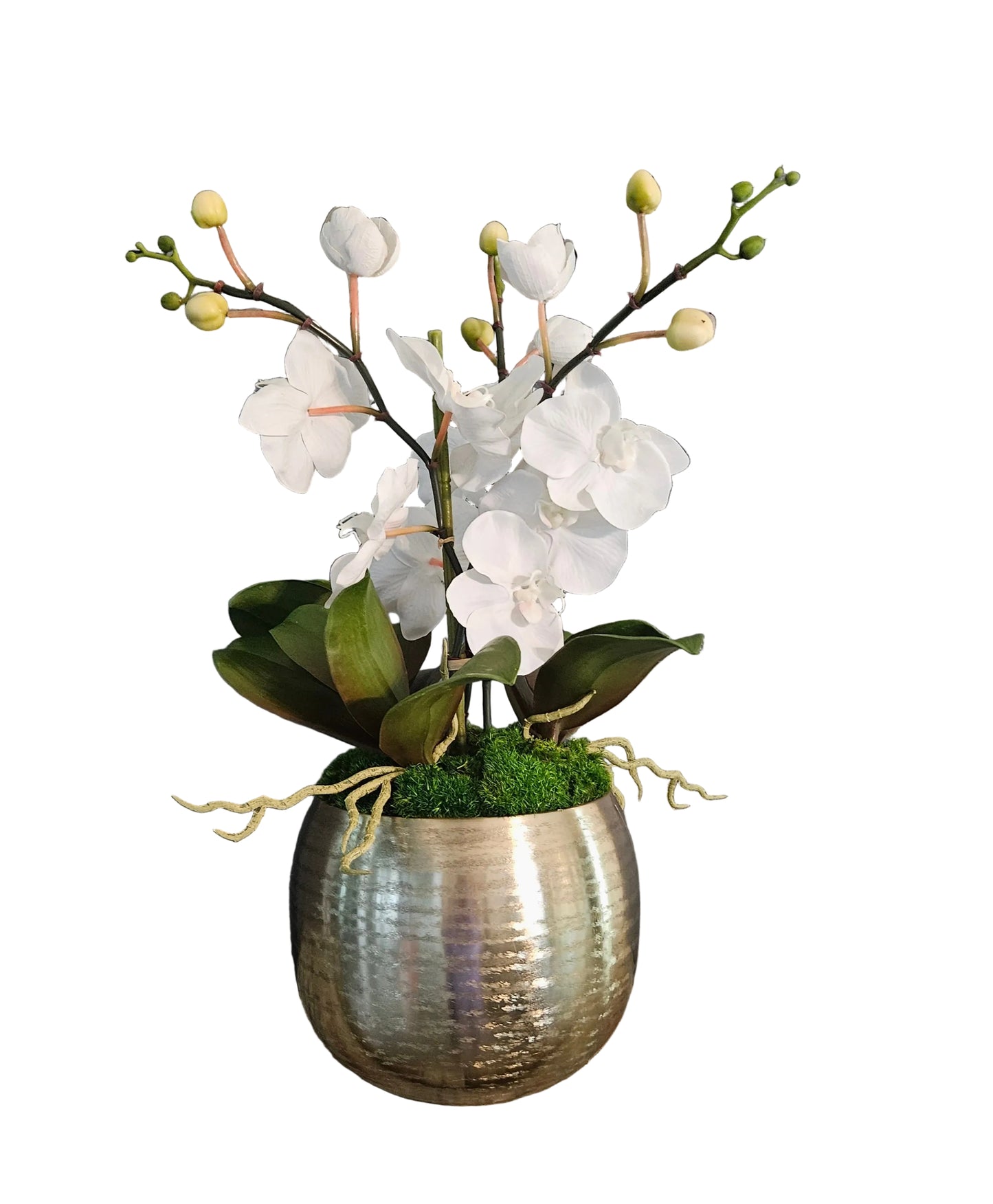 3 Blooms Orchid Arrangement