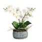 4 Orchid Arrangement