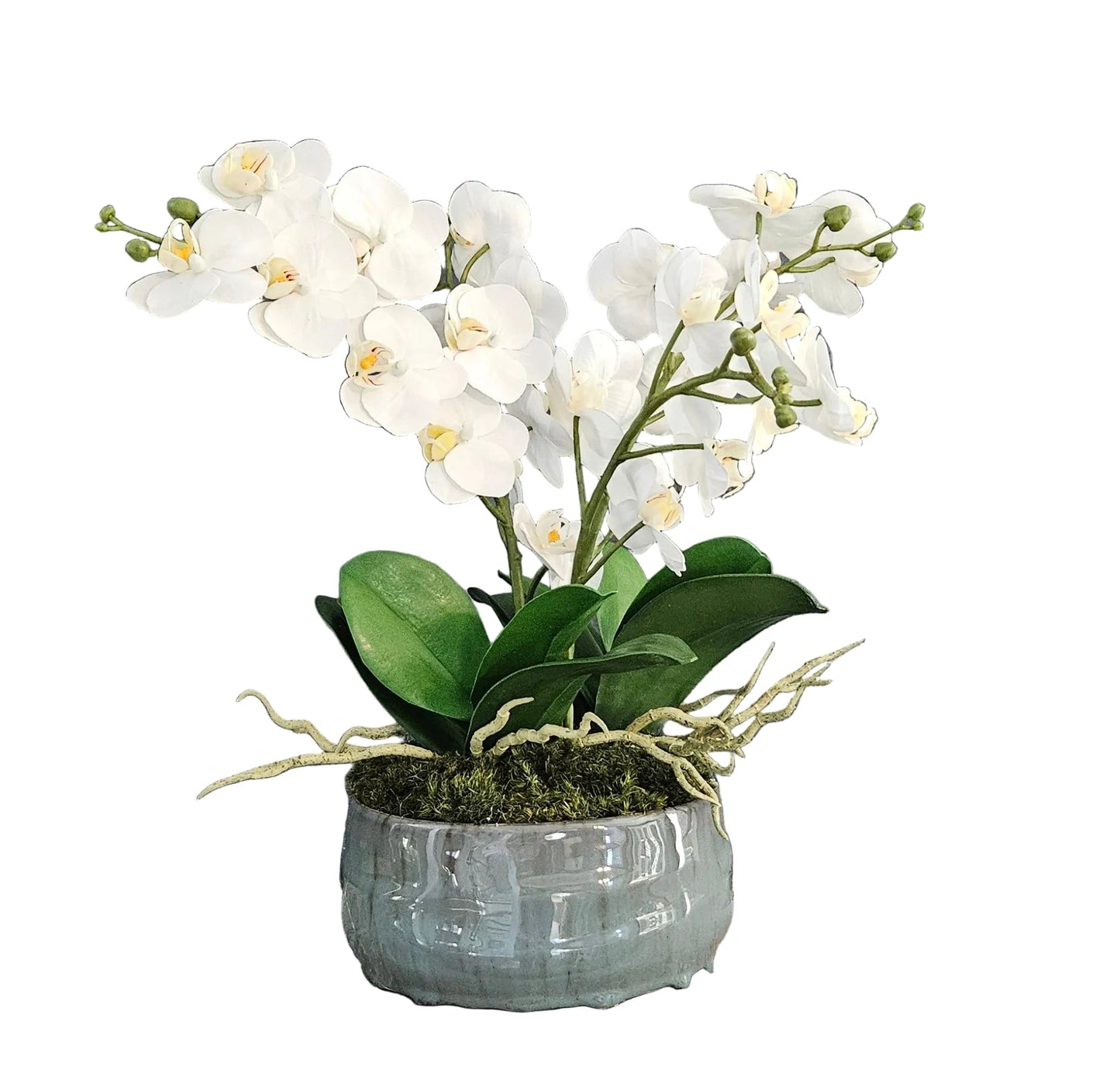 4 Orchid Arrangement