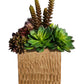 Succulent Arrangement in Square Container