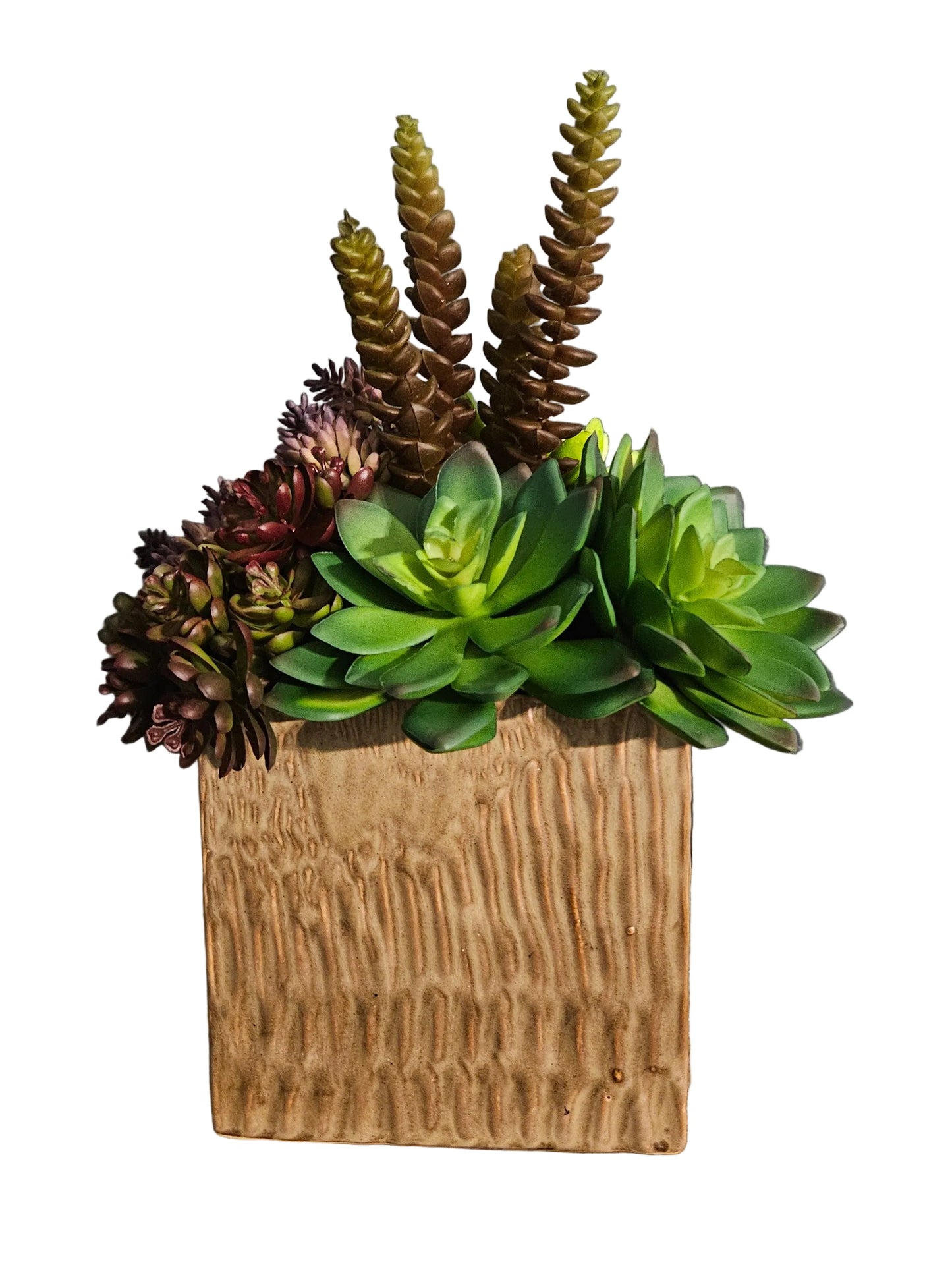 Succulent Arrangement in Square Container