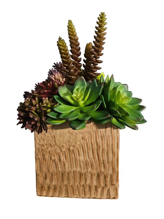 Succulent Arrangement in Square Container