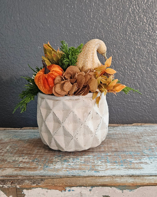 Fall Sit Around With Gourd