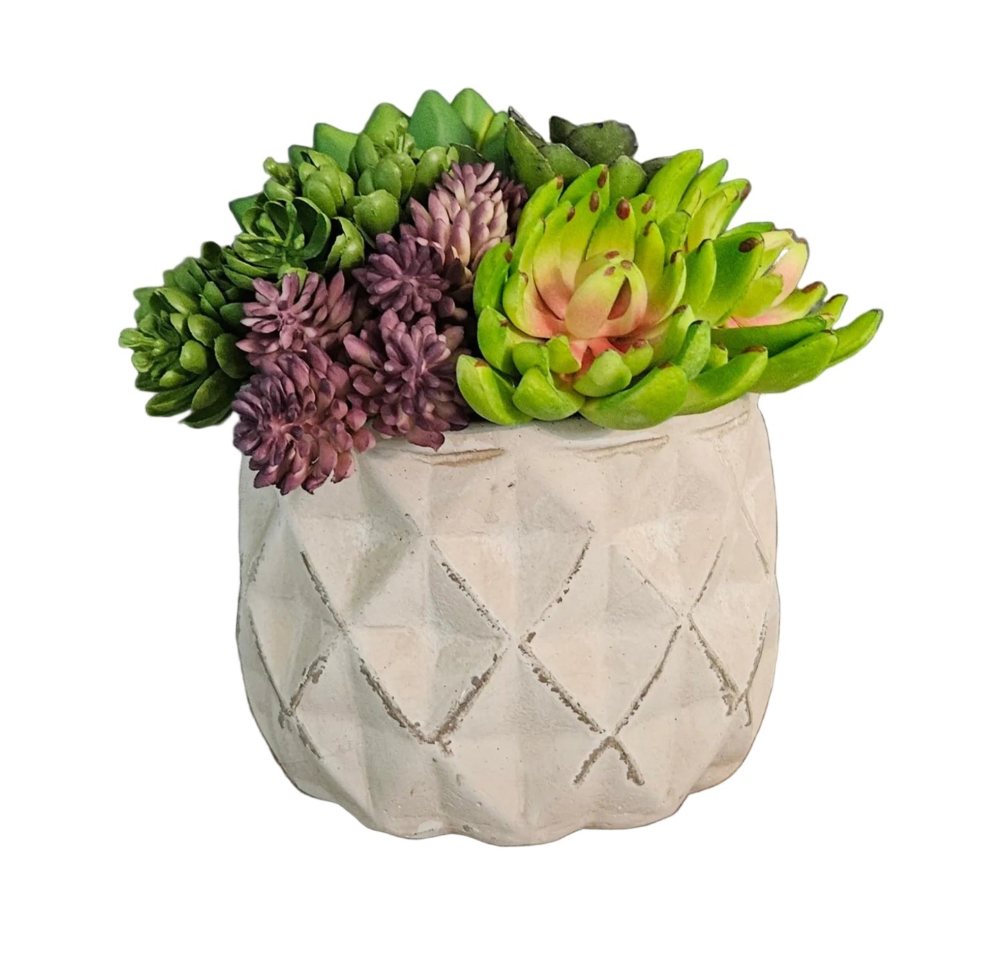 Decorative pot with succulents on a wooden surface against a white background