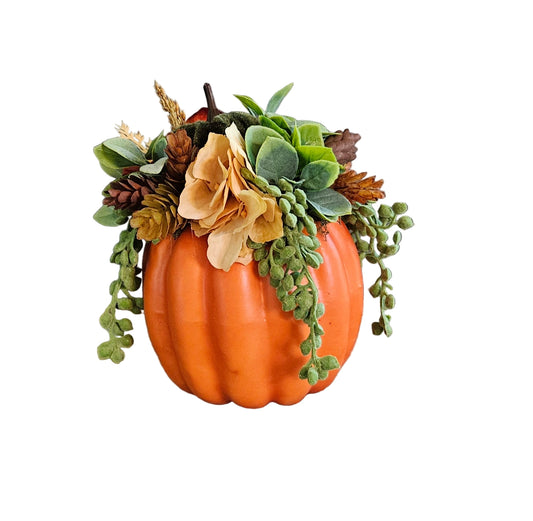 Small Pumpkin Arrangement with Succulents