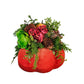 Fall Coral Pumpkin Arrangement