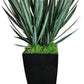 51" Tall  Yucca Floor Plant