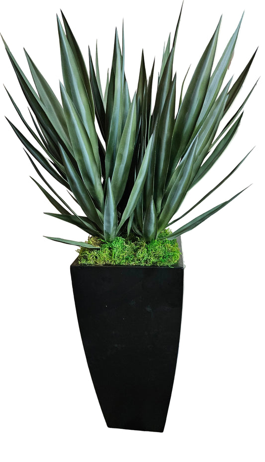 51" Tall  Yucca Floor Plant