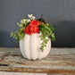 Small Cream Pumpkin Arrangement With Ranunculus
