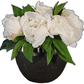 Fresh Look Peony Arrangement