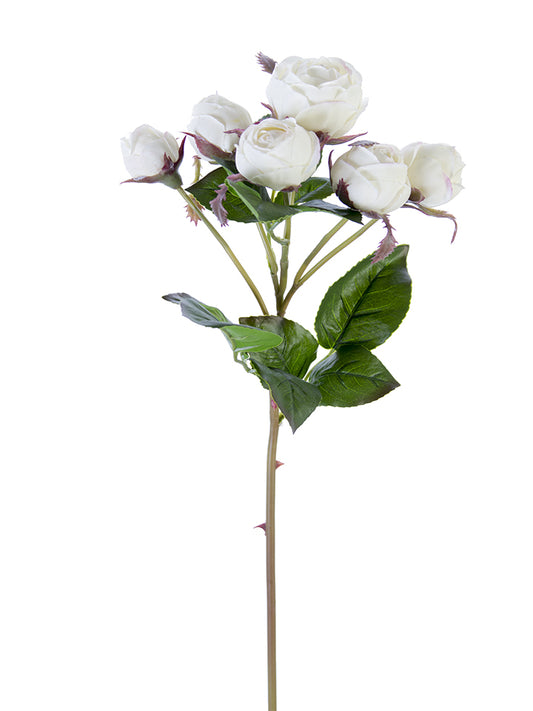 22" English Rose Buds Stem, Cream White