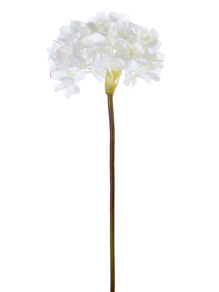 21" Garden Hydrangea, White