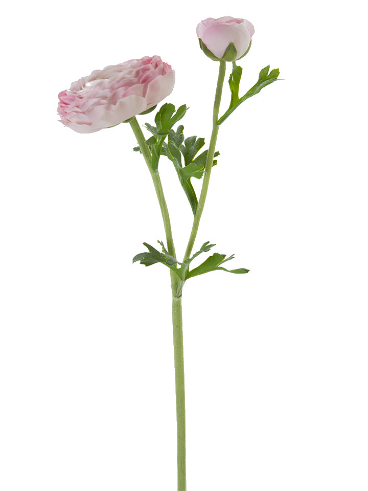 23" Real Touch Open Ranunculus Stem, Pink