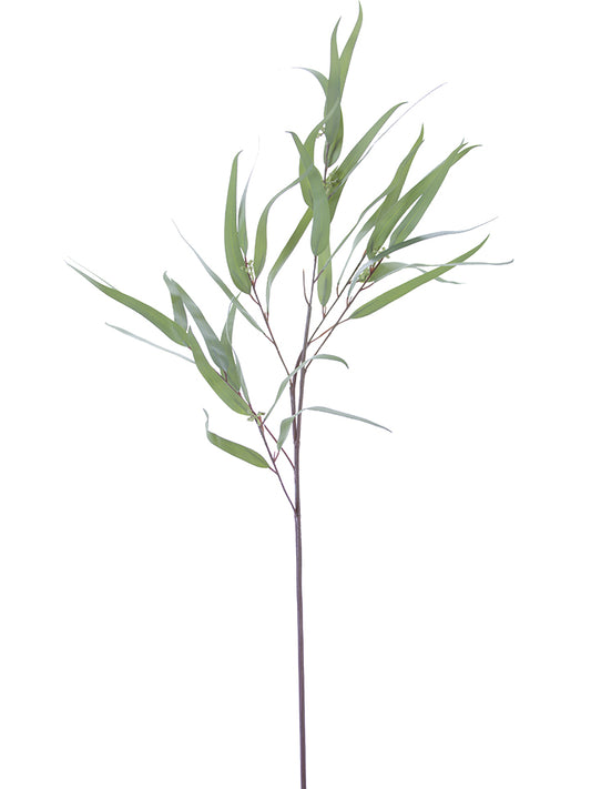 36" Feather Leaf Eucalyptus with Seeds Spray, Sage Green