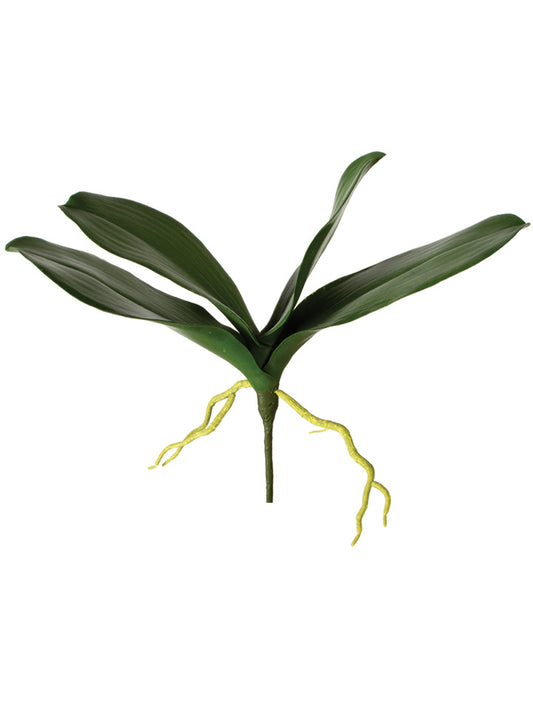 13.5" Phalaenopsis Leaves Pick, Green