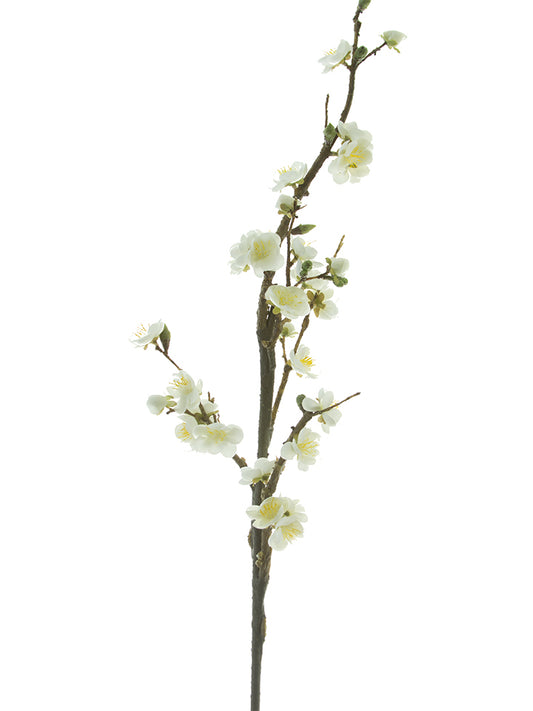 41" Plum Blossom Branch, Cream