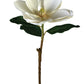 30" Magnolia Flower Stem, Cream