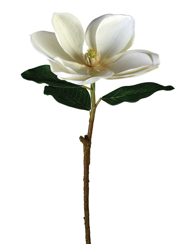 30" Magnolia Flower Stem, Cream