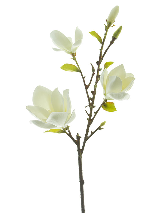34" Magnolia Tree Spray, Cream