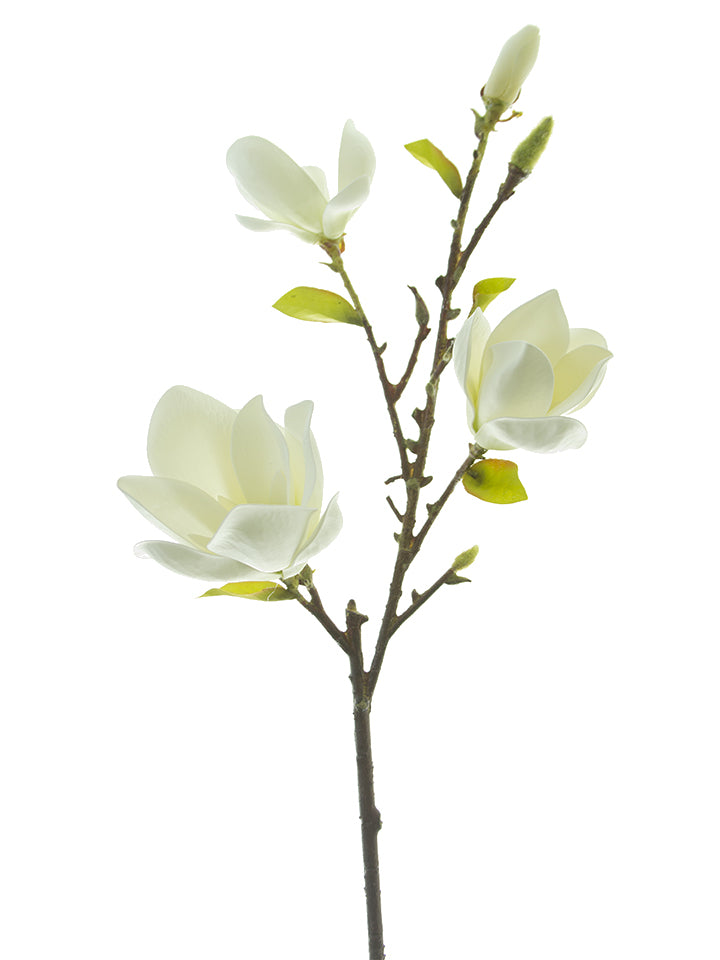 34" Magnolia Tree Spray, Cream