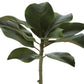 15" Magnolia Leaf Pick