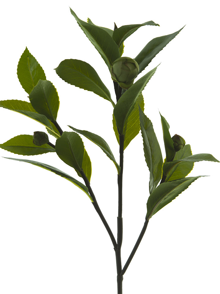 17.5" Tea Leaf Spray, Green